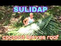 SULIDAP COCONUT LEAVES ROOF