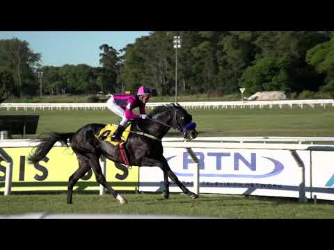 211114 c07 MyJ Debernardis/ FOOTSTEP (ARG)