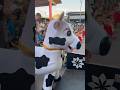 La Vaca Lola Para Espectáculos Infantiles En Tenerife Cantajuego Payasos Dulcylín Tenerife
