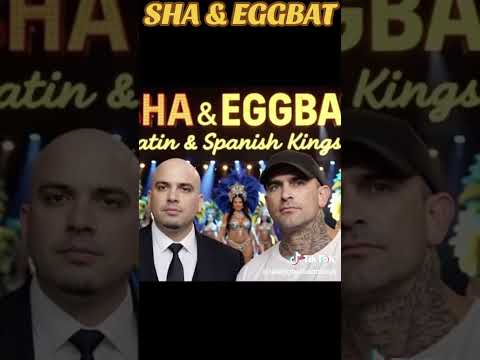 EGGBAT&Sha -orta nocte ( another night ) Spanish track #spain #sydneyclub