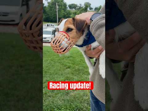 Charlie finished two races, no fighting! Fingers crossed he can keep it up 🤞#dogs