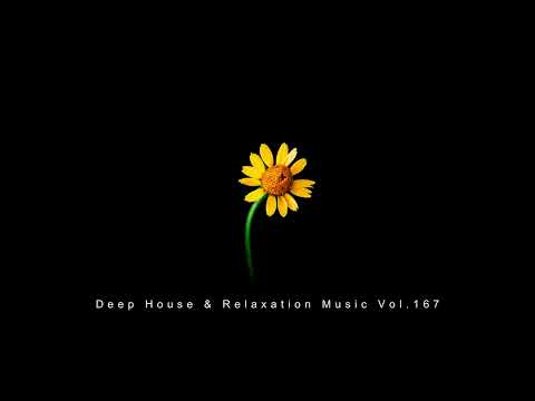 CEV's Tribute Mix | Summer Edition 2023 | Deep House & Relaxation Music Vol.167