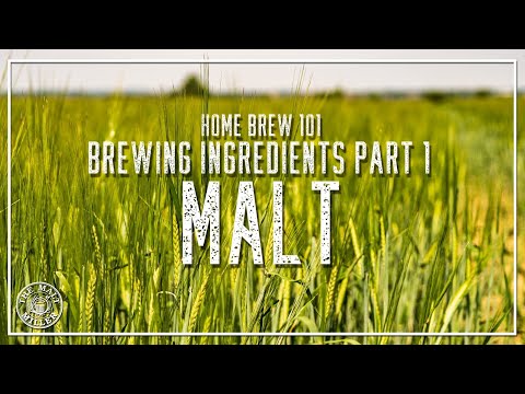 HOME BREW 101 - BREWING INGREDIENTS PART 1 - MALT | THE MALT MILLER