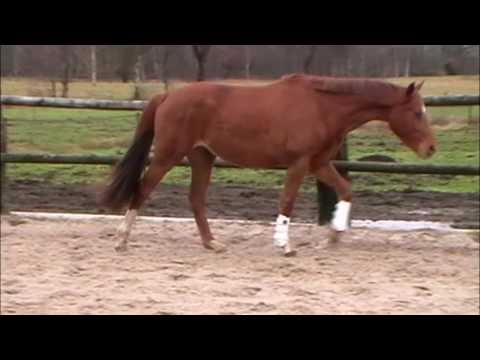 Edward Rotspon Wendenburg