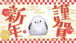 【雑談】新年早々 体調を崩したエナガ…(; ꒪ㅿ꒪)