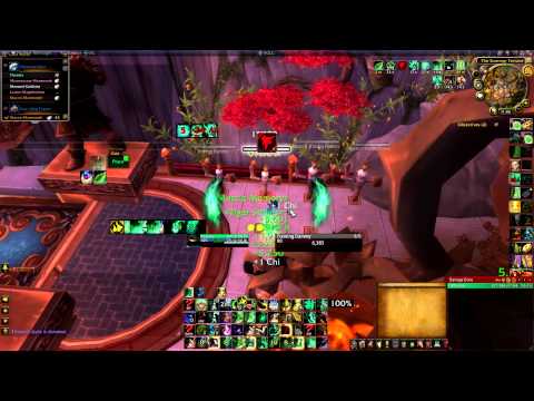 Fistweaving mop 5.2 - maintainable dps rotation