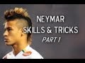Neymar Jr | Skills, Tricks & Goals | Part 1| 2013 HD