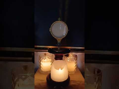Adoración al Santísimo Sacramento del Altar con el Padre Fabian Esteban Oliva. 31/05/26