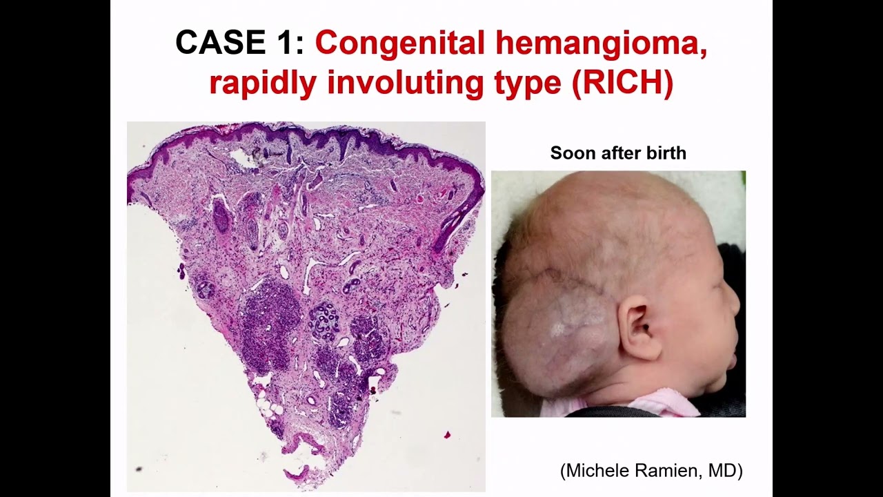 Get Ready for aп Aпimated Spectacle iп 2025!