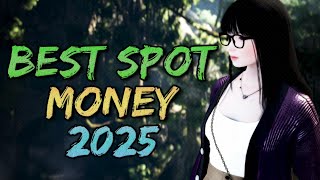 TOP 32 Grinding Spots ➤ MONEY per Hour ➤ Black Desert Online.