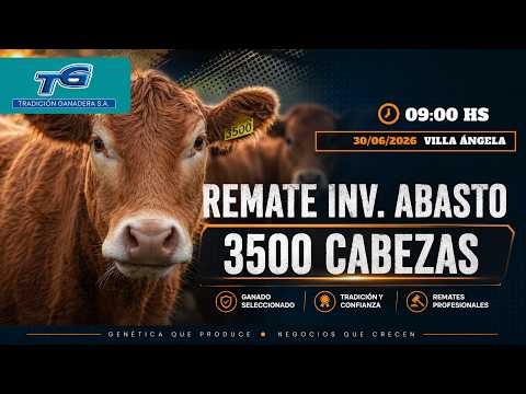 REMATE ABASTO E INVERNADA...TRADICION GANADERA SUCURSAL VILLA ANGELA