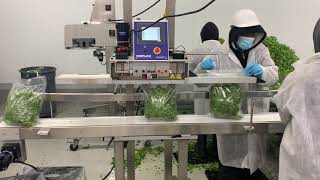 Download lagu Emplex Continuous Band Sealers - MPS6500  Produce mp3