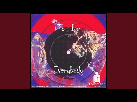 Everybody (Nils Hoffmann Remix)