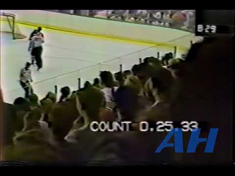 NHL Sep. 14, 1991 Minnesota North Stars v Chicago Blackhawks (melee) Scott Robinson v Jeff Sirkka