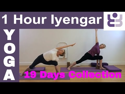 One Hour Iyengar Yoga Class - 19 Days of Yoga Collection