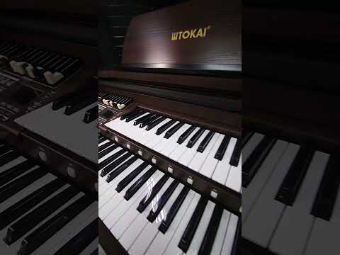 ÓRGÃO TOKAI MD 750s