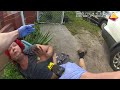 Cops Choke and Use Taser on Unarmed Trans Woman During Arrest