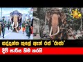 සද්දන්ත කුලේ ඇත් රජ රාජා දිවි සැරිය නි