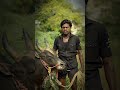 Jallikattu Madurai Madu Tamil Trending Reels