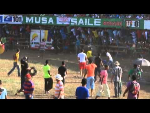 Corralejas de Turbaco leave around twenty injured