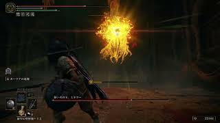 【ELDEN RING】忘れた頃のDLC#18