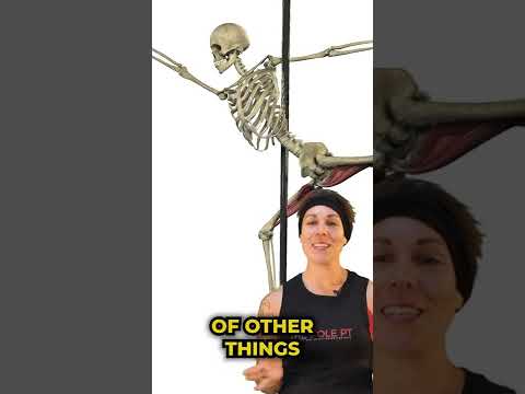 Pole Anatomy - Ballerina