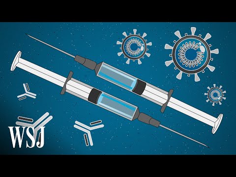 The Promise and Peril of Fast-Tracking the Coronavirus Vaccine | WSJ
