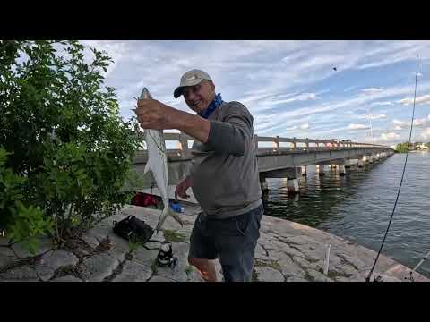 Sacando una captura inesperada