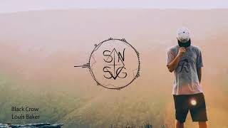 Louis Baker - Black Crow