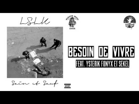 Lslk Feat. Ysterik, Fonyx et Sekel du 91 - Besoin De Vivre