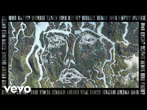 Disclosure, Mick Jenkins - Who Knew? (Wookie Remix / Audio)