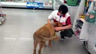 [閒聊] 諭吉的猴子也會的料理書哪來的？