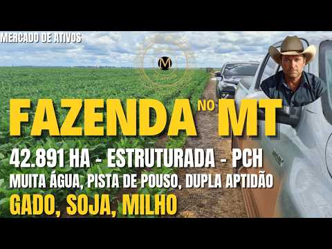 FAZENDA MARAVILHOSA 42.891 HÁ NOVA UBIRATÃ/MT ESTRUTURA MUITA ÁGUA DUPLA APTIDÃO - MercadodeAtivos