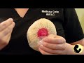 Nipple Shield Application Technique By Melissa Cole MS IBCLC Of Luna Lactation Wellness