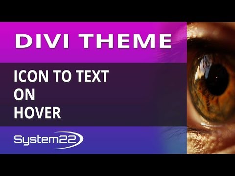 Divi Theme Icon To Text On Hover Video