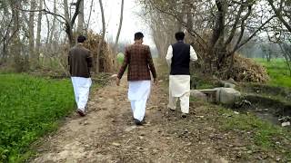 preview picture of video 'Plum Orchard and fields around my village in KPK, Pakistan'