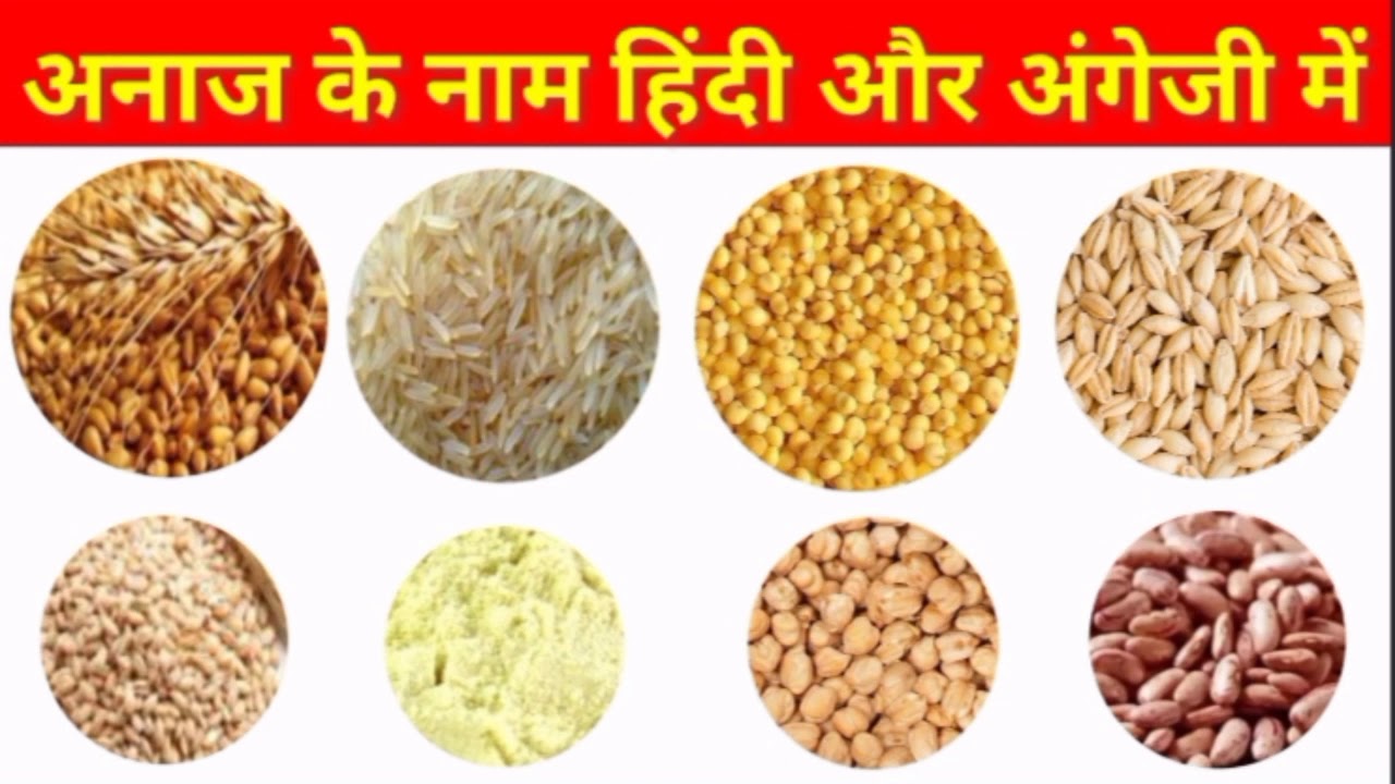 अनाज के नाम हिंदी और अंग्रेजी में | Name of Grains in Hindi and English