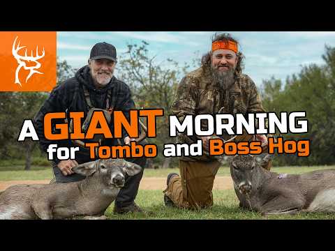 Boss Hog and Tombo DOUBLE UP! | a GIANT morning