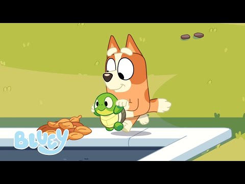 The Done Thing | Turtle Boy - Series 3 | Bluey