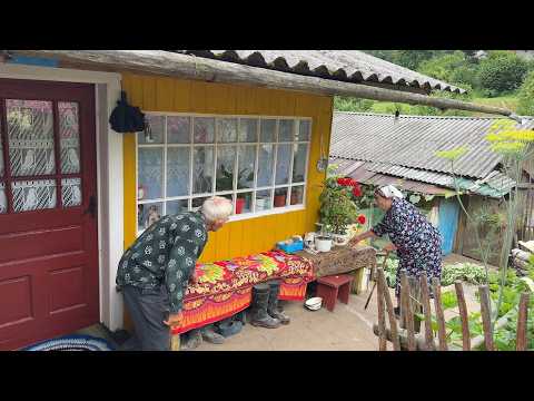 60 Years of Love in the Carpathians 🏔️ | Village Life of an Elderly Couple 👵👴