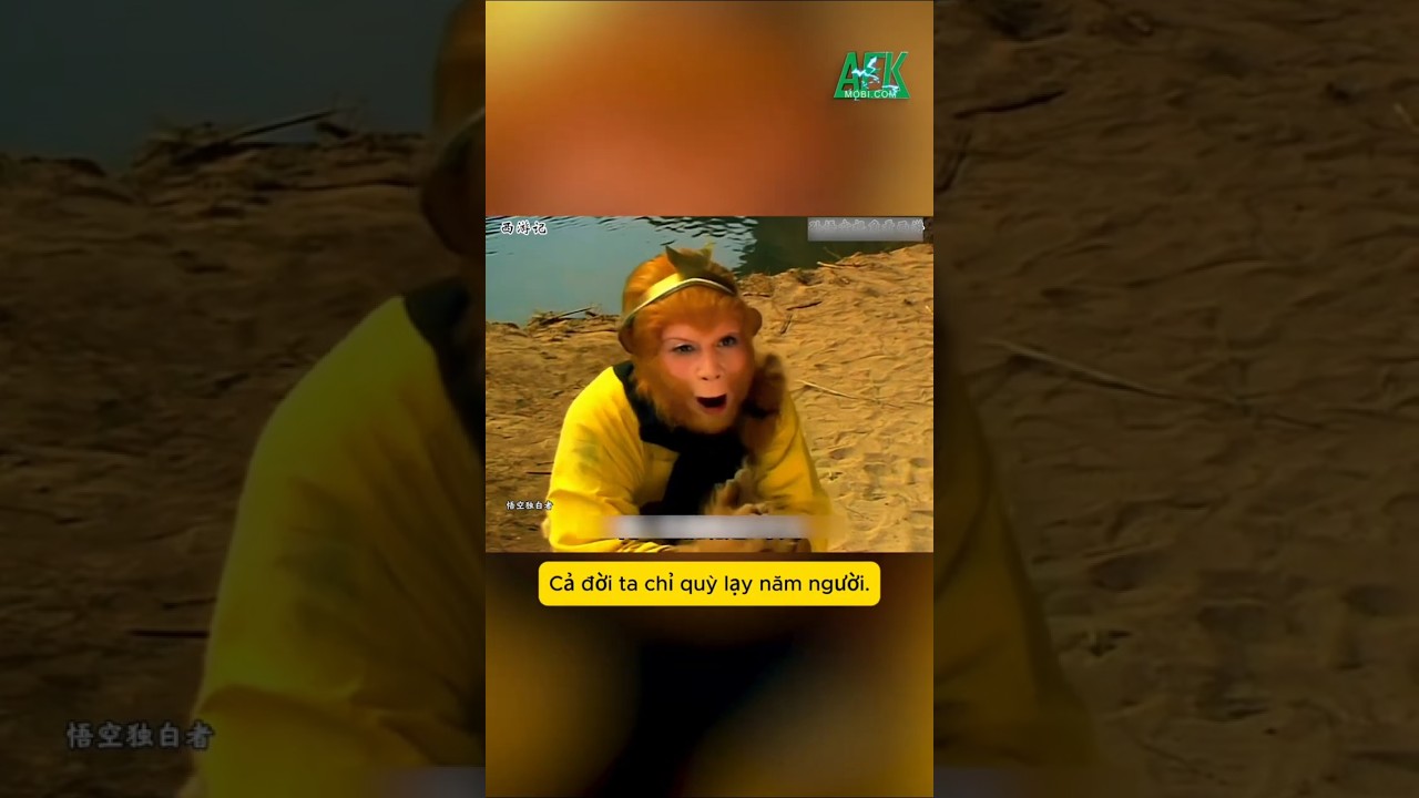 Sự thật về 5 người mà Tôn Ngộ Không quỳ gối trong Tây Du Ký