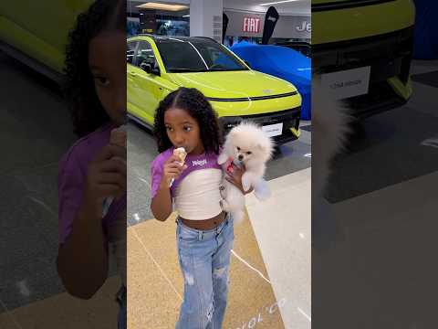 What a cute little dog 🍦🤣 #vilalshorts #jokes #shorts