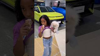 Hay que linda perrita 🍦🤣 #vilalshorts #bromas #shorts