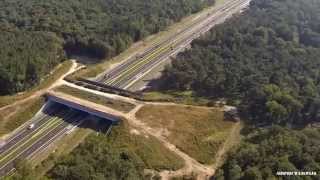 Laatste vlucht A59 N261 tracé