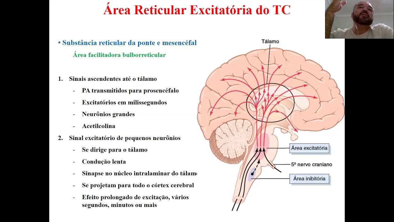 Aula Fisiologia do Ciclo Sono-Vigília