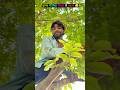 Chithru Se Liya Badla Comedy Funny Chitharu Chithrucomedy