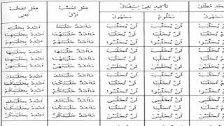 صورة شرح  "المقصود في عِلْمِ التَّصْريفِ "(41) /تكميل تصريفالملحق بالرباعي (جلبب)