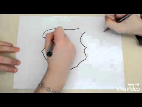Draw my life del hambre en el mundo