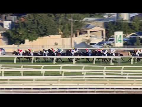 2017.05 12 South Australian Derby - Volatile Mix