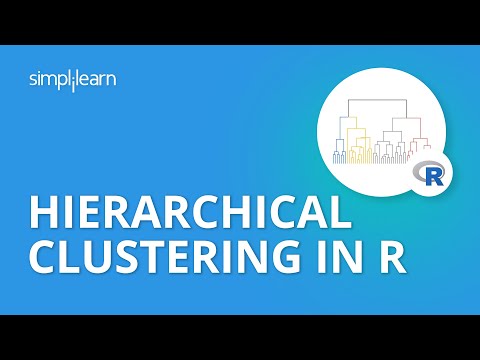 Hierarchy Clustering In R | Data Science With R Tutorial